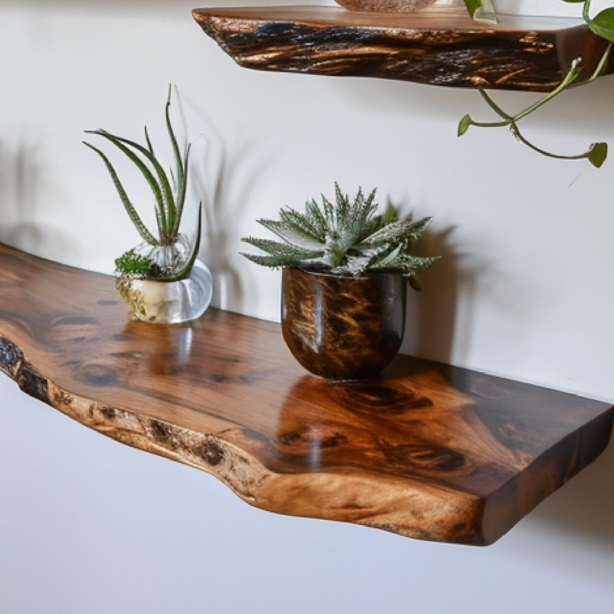 Live Edge Shelf Wall Mounted Shelf