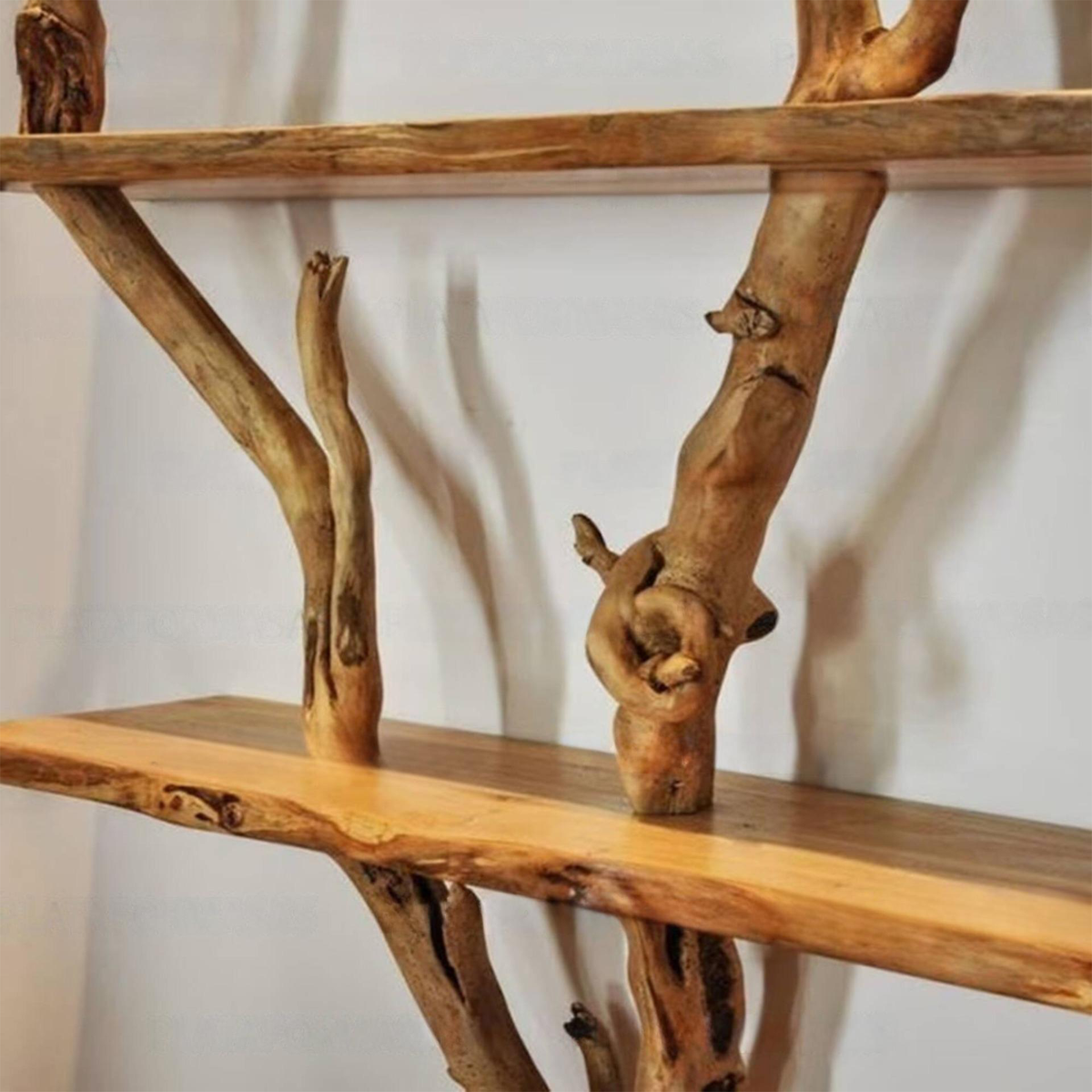 Spreading Branch Wall Bookcase, Tall 80 x 60 or Wide 58 x 71 in