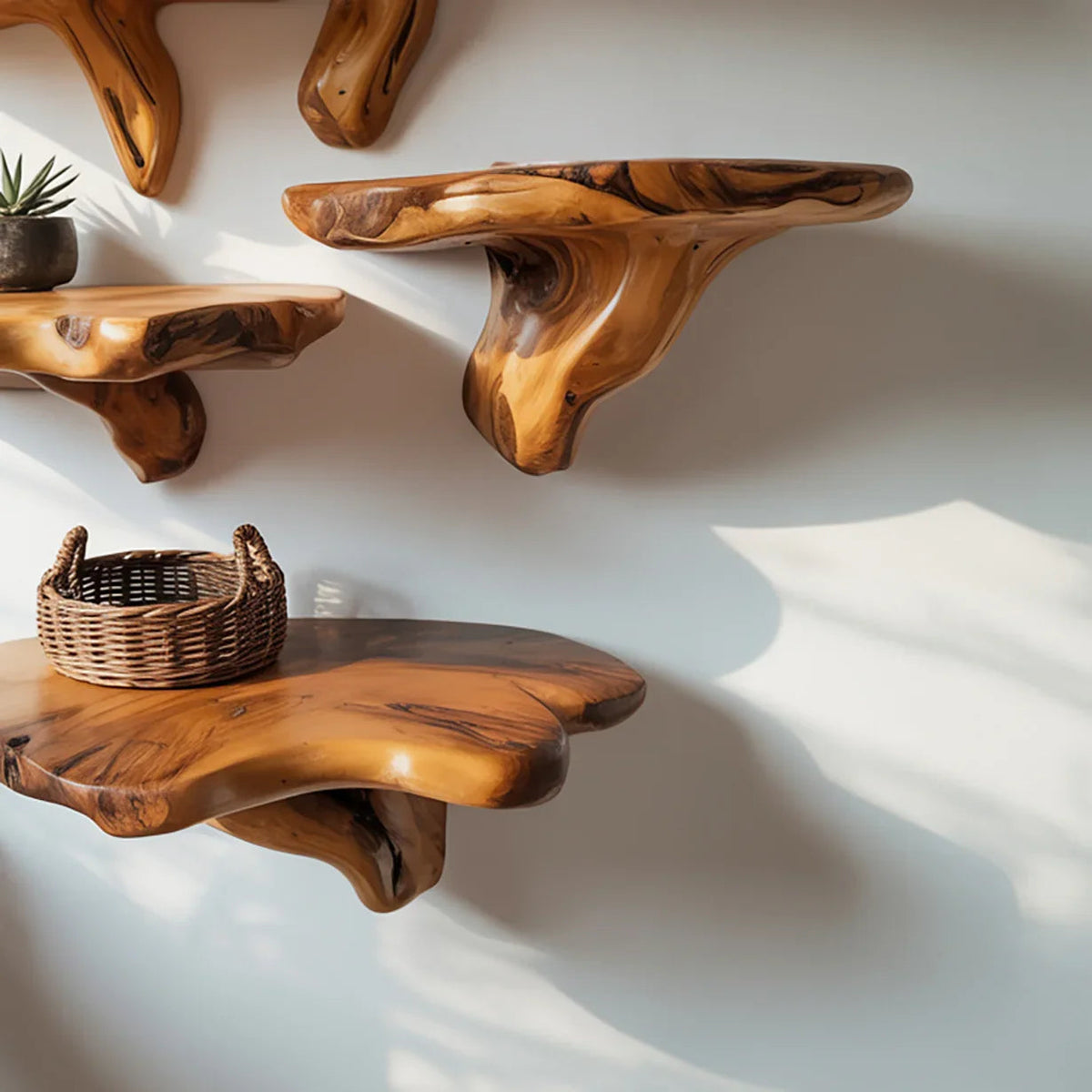 Modern Minimalist Mushroom Shelf