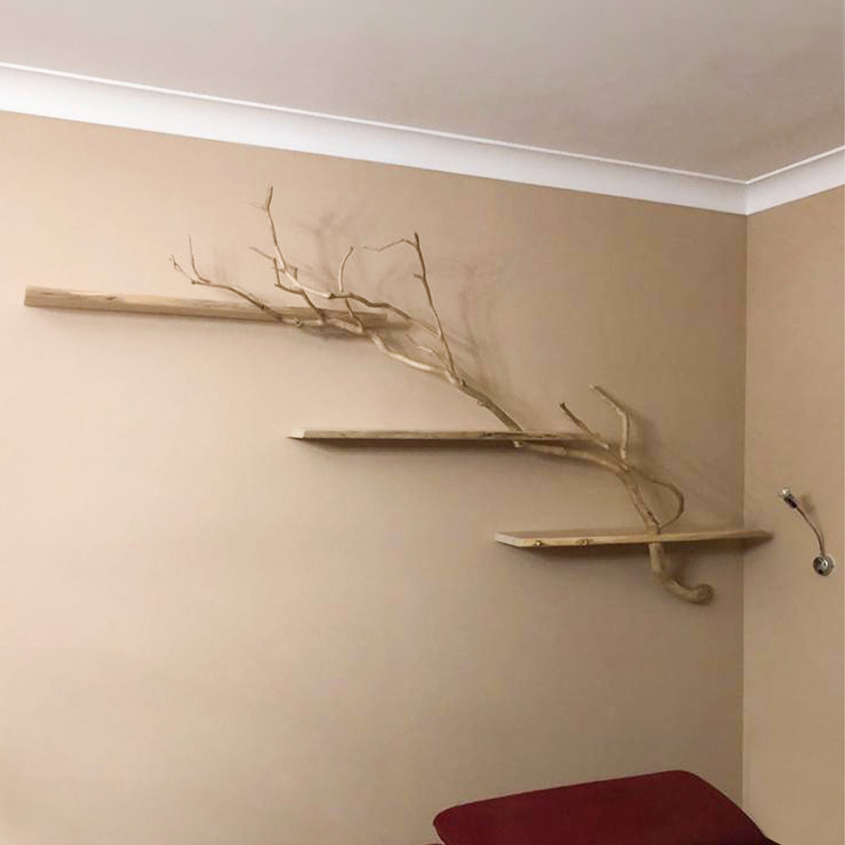 Live Edge Tree Branch Floating Shelf